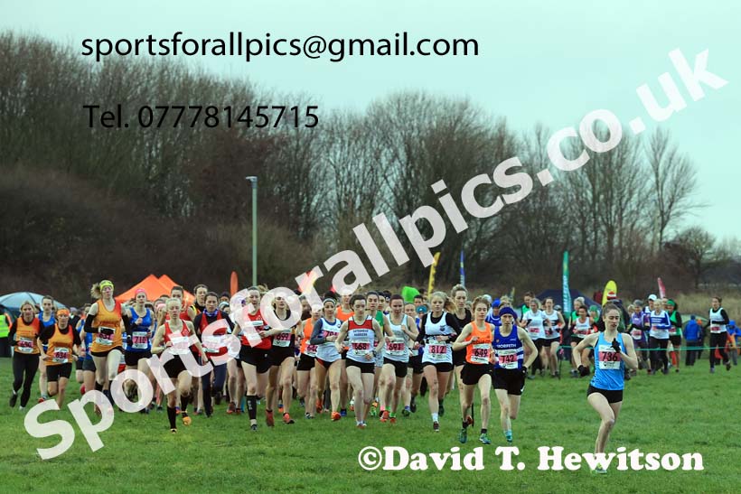 Senior womens 2023 North Eastern Cross Country Champs., Temple Park, South Shields. Photo: David T. Hewitson/Sports for All Pics